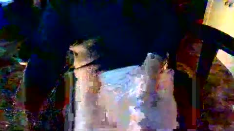 davidneedmore online show from 3, 3, 2026