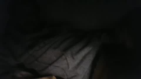 Snapshot of davisonsd chatting on 18, 2, 2026 davisonsd online show from 18, 2, 2026