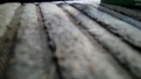 Snapshot of davros8621 chatting on 2, 11, 2025 davros8621 online show from 2, 11, 2025