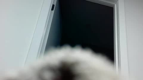 Snapshot of davyd11 chatting on 18, 9, 2025 Davvyd online show from 18, 9, 2025