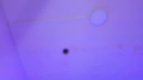 dayana_harlow2 online show from 16, 1, 2025