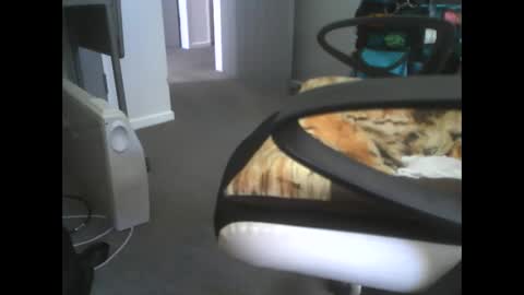 Snapshot of dazzle68 chatting on 14, 3, 2026 Dazzle68 online show from 14, 3, 2026