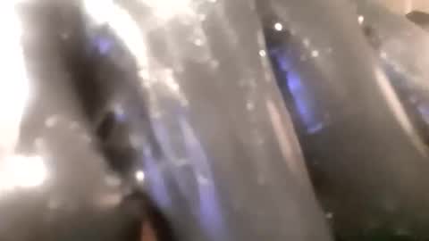 Snapshot of ddick0303 chatting on 14, 11, 2025 ddick0303 online show from 14, 11, 2025