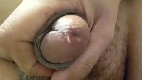 deathzamboni online show from 15, 12, 2024