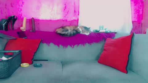 Snapshot of deboragill chatting on 13, 3, 2026 deboragill online show from 13, 3, 2026