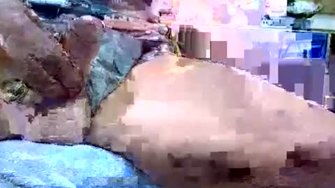 Dive Deep online show from 19, 1, 2026