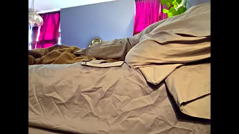 definitelymasterbating online show from 17, 3, 2026