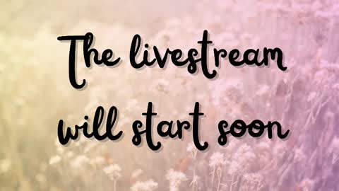 Snapshot of delitevip chatting on 11, 3, 2025 DeLite Next stream on Wednesday or Thurdsay online show from 11, 3, 2025