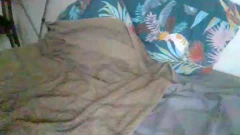 Snapshot of dexterwatchme chatting on 15, 1, 2026 dexterwatchme online show from 15, 1, 2026