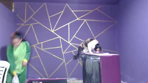 Snapshot of diana_smit_ chatting on 12, 1, 2025 diana online show from 12, 1, 2025