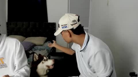 Snapshot of dick_master17 chatting on 2, 12, 2025 dick online show from 2, 12, 2025