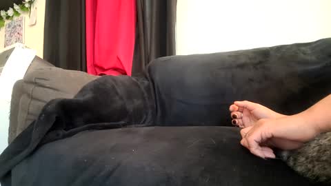 dickies6969 online show from 20, 9, 2025