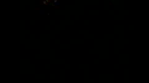 dickink13 online show from 4, 11, 2025