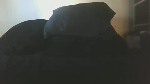 Snapshot of dickydo11 chatting on 19, 1, 2025 dickydo11 online show from 19, 1, 2025