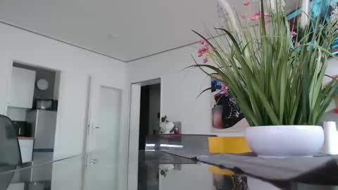 Snapshot of didiegal1 chatting on 16, 2, 2026 squirtcock online show from 16, 2, 2026