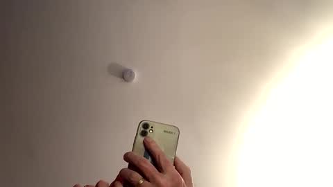 Dildolover online show from 15, 1, 2026