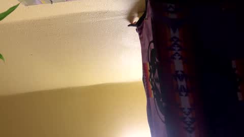 Snapshot of dimepiecebottom chatting on 8, 12, 2024 dimepiecebottom online show from 8, 12, 2024