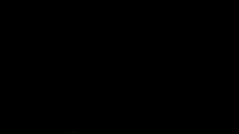 dimitri_higt online show from 15, 2, 2025