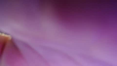 Dirty Kiss69 online show from 17, 2, 2025