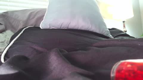 Daisy Wylde online show from 6, 12, 2024