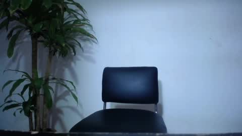 whats app - stagram marian doll online show from 26, 2, 2025