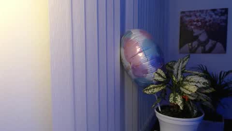 Hera online show from 26, 11, 2025