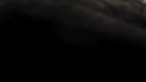 divorcee26_ online show from 3, 2, 2026