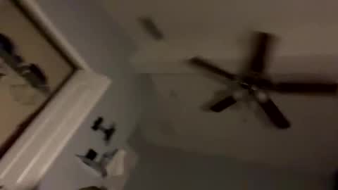 Snapshot of dixnice chatting on 21, 2, 2026 dixnice online show from 21, 2, 2026