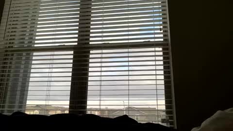 Snapshot of dj9469615 chatting on 22, 3, 2026 dj9469615 online show from 22, 3, 2026