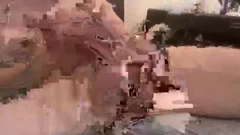 djfrankieice online show from 17, 2, 2026