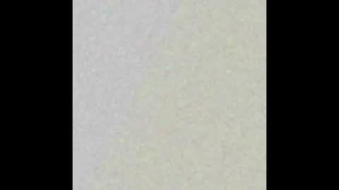 dmtuda11 online show from 26, 3, 2026