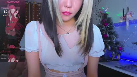 Dollya online show from 13, 12, 2024