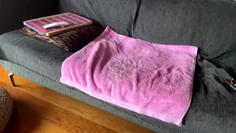 Alfredo online show from 13, 2, 2026