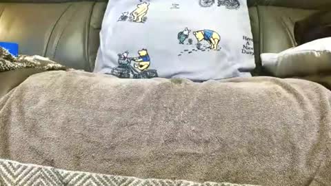 LuvmycockTS69 online show from 14, 11, 2025