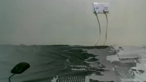 Snapshot of dortomel chatting on 28, 10, 2025 dortomel online show from 28, 10, 2025