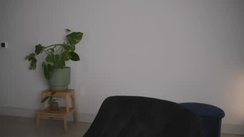 Sara online show from 31, 3, 2026