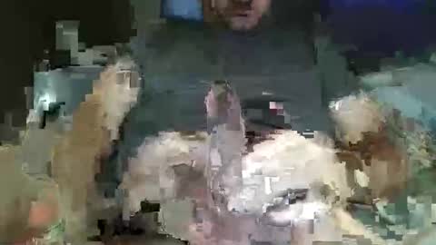 Snapshot of downtown831 chatting on 26, 2, 2026 downtown831 online show from 26, 2, 2026