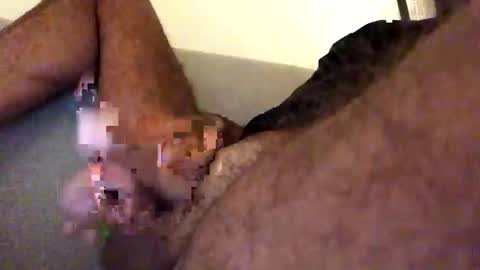 dpbbb online show from 8, 11, 2025