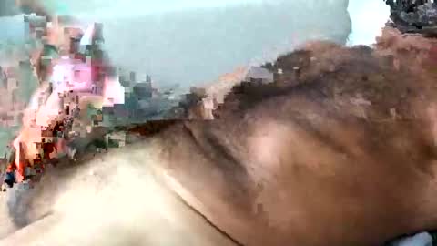 dpbbb online show from 15, 11, 2025