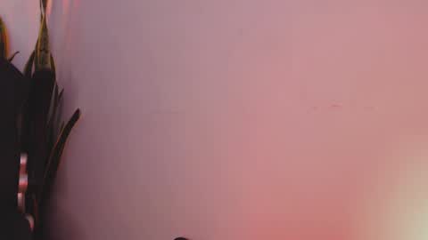 Snapshot of drake_cole11 chatting on 4, 2, 2025 drake_cole11 online show from 4, 2, 2025