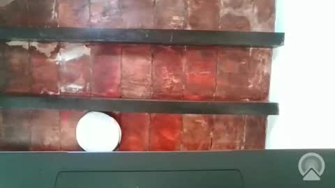 Snapshot of dread1990 chatting on 4, 12, 2025 new profile Aircum99 online show from 4, 12, 2025