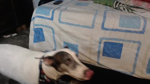 Snapshot of dream_real chatting on 12, 10, 2025 dreamreal online show from 12, 10, 2025