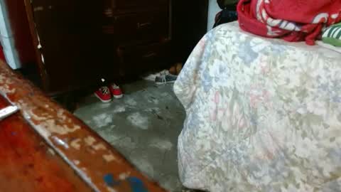 Snapshot of dream_real chatting on 28, 10, 2025 dreamreal online show from 28, 10, 2025