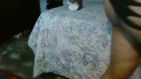 Snapshot of dream_real chatting on 31, 10, 2025 dreamreal online show from 31, 10, 2025