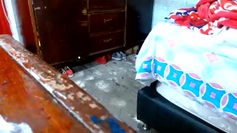 Snapshot of dream_real chatting on 10, 11, 2025 dreamreal online show from 10, 11, 2025