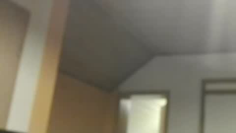 Dreambob online show from 3, 11, 2025