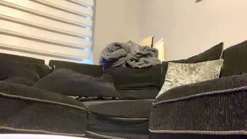 drippinggenie online show from 26, 12, 2024