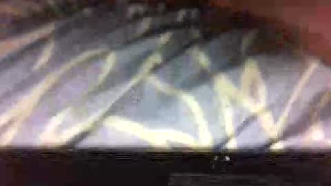 drippydickboy online show from 8, 11, 2025