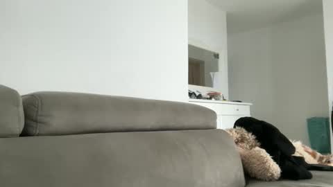 Snapshot of drresa chatting on 18, 10, 2025 Dr. Resa online show from 18, 10, 2025