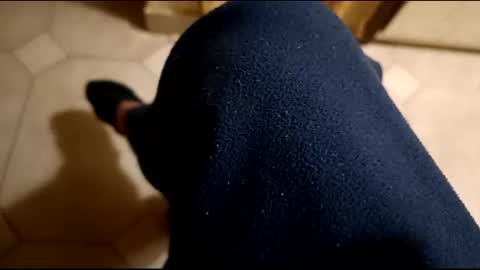 Snapshot of dthedog12 chatting on 21, 2, 2025 dthedog12 online show from 21, 2, 2025